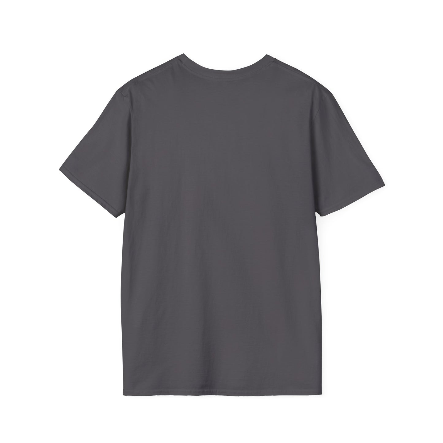 💦 “I Put That SH on Everything” – the ultimate shirt for pressure washing and roof cleaning pros!